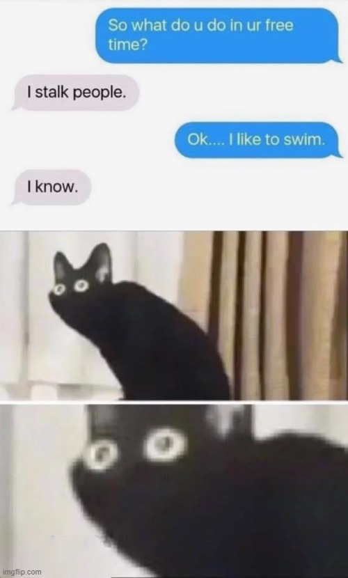 yea ok... OH SHI- | image tagged in scared cat,cat,stalker,text messages,message,messed up | made w/ Imgflip meme maker