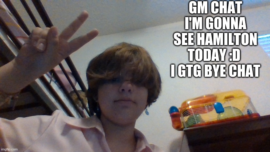 GM CHAT I'M GONNA SEE HAMILTON TODAY :D  I GTG BYE CHAT | made w/ Imgflip meme maker