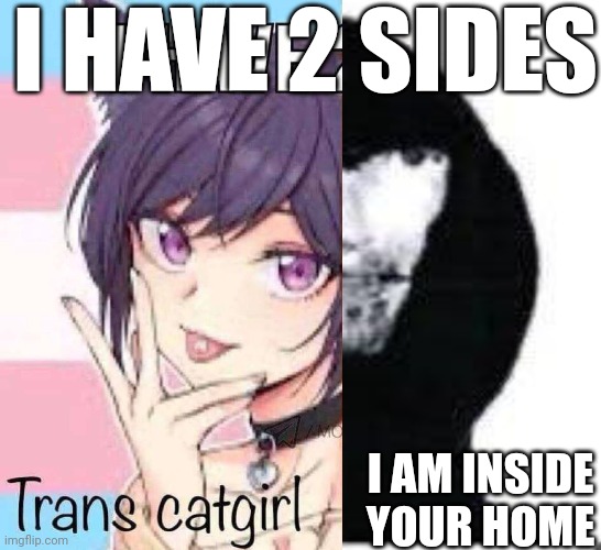 I HAVE 2 SIDES; I AM INSIDE YOUR HOME | made w/ Imgflip meme maker