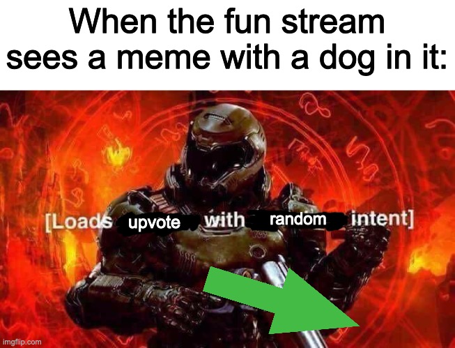 The whole fun stream for some reason | When the fun stream sees a meme with a dog in it:; random; upvote | image tagged in loads shotgun with malicious intent,dog,fun stream | made w/ Imgflip meme maker
