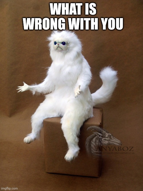 Persian Cat Room Guardian Single |  WHAT IS WRONG WITH YOU | image tagged in memes,persian cat room guardian single | made w/ Imgflip meme maker