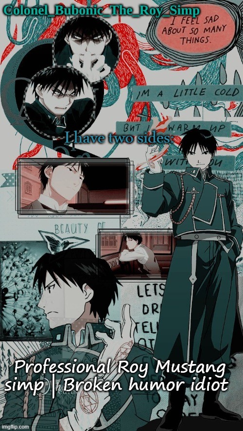 Witch one is your favorite side? | I have two sides:; Professional Roy Mustang simp | Broken humor idiot | image tagged in yes another roy mustang temp don't worry about it | made w/ Imgflip meme maker