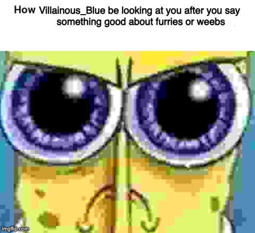 Villainous_Blue be looking at you after you say 

something good about furries or weebs | made w/ Imgflip meme maker