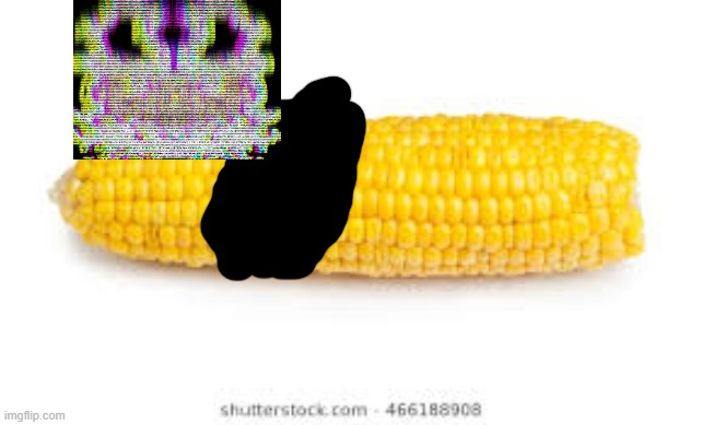 Corn on the cob  | image tagged in corn on the cob | made w/ Imgflip meme maker