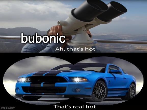 bubonic | made w/ Imgflip meme maker