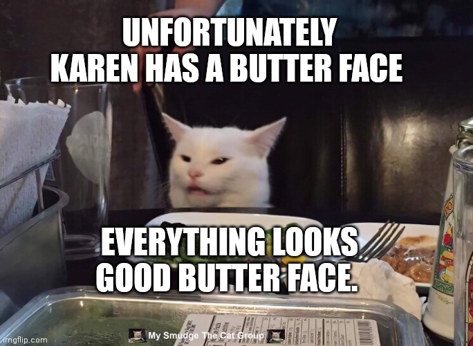 UNFORTUNATELY KAREN HAS A BUTTER FACE; EVERYTHING LOOKS GOOD BUTTER FACE. | image tagged in smudge the cat | made w/ Imgflip meme maker