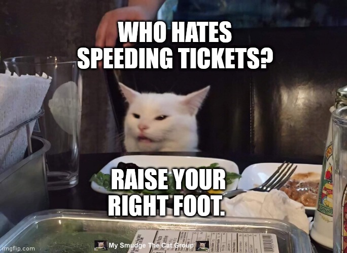 WHO HATES SPEEDING TICKETS? RAISE YOUR RIGHT FOOT. | image tagged in smudge the cat | made w/ Imgflip meme maker