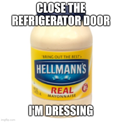 mayonnaise | CLOSE THE REFRIGERATOR DOOR I'M DRESSING | image tagged in mayonnaise | made w/ Imgflip meme maker