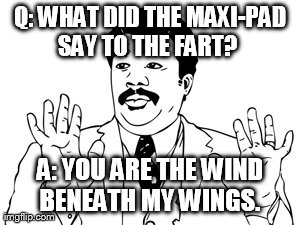 Neil deGrasse Tyson Meme | Q: WHAT DID THE MAXI-PAD SAY TO THE FART? 
 A: YOU ARE THE WIND BENEATH MY WINGS. | image tagged in memes,neil degrasse tyson | made w/ Imgflip meme maker