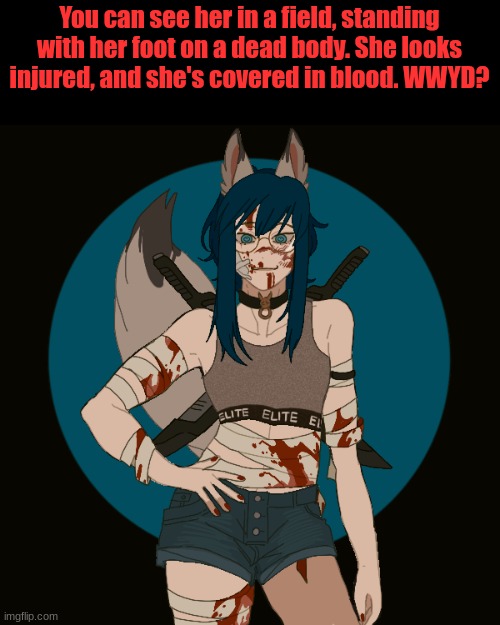 Can be romance, don't rp if you have hemophobia (fear of blood) | You can see her in a field, standing with her foot on a dead body. She looks injured, and she's covered in blood. WWYD? | image tagged in roleplay | made w/ Imgflip meme maker