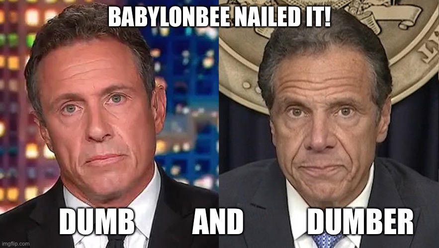 Unemployment Rate Among Cuomo Brothers Rises To 100% | BABYLONBEE NAILED IT! DUMB          AND           DUMBER | image tagged in political meme,chris cuomo,andrew cuomo,cnn | made w/ Imgflip meme maker