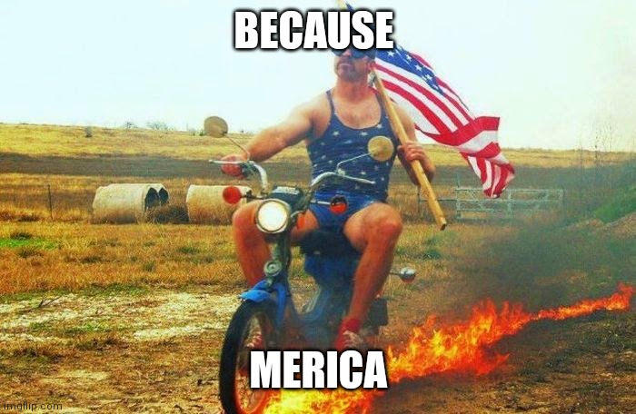 'merica scooter | BECAUSE MERICA | image tagged in 'merica scooter | made w/ Imgflip meme maker