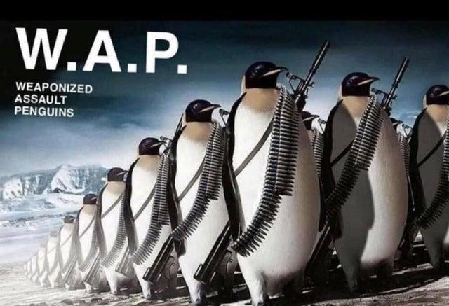 High Quality Weaponized assault penguins Blank Meme Template