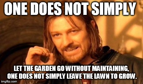 One Does Not Simply Meme | ONE DOES NOT SIMPLY  LET THE GARDEN GO WITHOUT MAINTAINING, ONE DOES NOT SIMPLY LEAVE THE LAWN TO GROW. | image tagged in memes,one does not simply | made w/ Imgflip meme maker