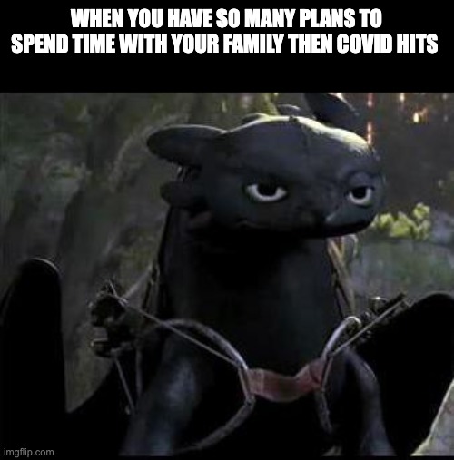 Toothless meme | WHEN YOU HAVE SO MANY PLANS TO SPEND TIME WITH YOUR FAMILY THEN COVID HITS | image tagged in bored dragon | made w/ Imgflip meme maker