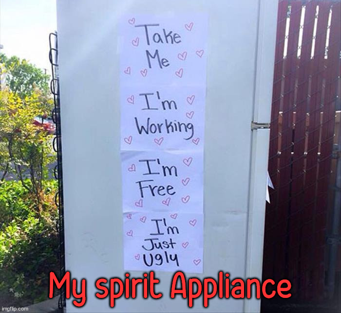 My spirit Appliance | image tagged in depression | made w/ Imgflip meme maker
