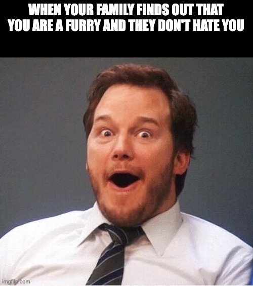 Who here has a furry friendly family? | WHEN YOUR FAMILY FINDS OUT THAT YOU ARE A FURRY AND THEY DON'T HATE YOU | image tagged in excited | made w/ Imgflip meme maker