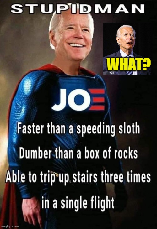 What? |  WHAT? | image tagged in biden sucks | made w/ Imgflip meme maker