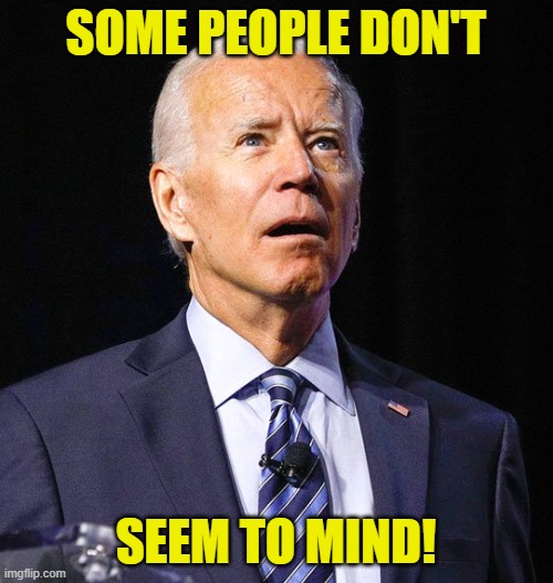 Joe Biden | SOME PEOPLE DON'T SEEM TO MIND! | image tagged in joe biden | made w/ Imgflip meme maker
