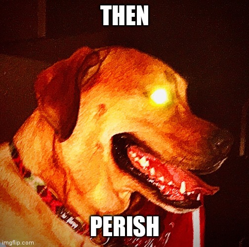 Then Perish Pupper | THEN PERISH | image tagged in then perish pupper | made w/ Imgflip meme maker
