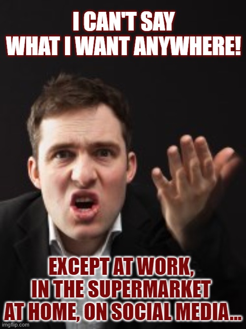 Is it true you can't say what you want anywhere? | I CAN'T SAY WHAT I WANT ANYWHERE! EXCEPT AT WORK, 
IN THE SUPERMARKET 
AT HOME, ON SOCIAL MEDIA... | image tagged in freedom of speech,express yourself,think about it,freedom | made w/ Imgflip meme maker