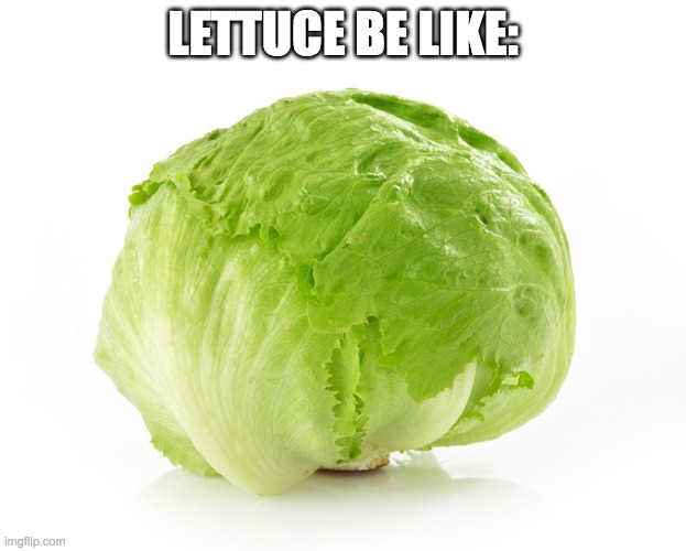 L E T T U C E | LETTUCE BE LIKE: | image tagged in lettuce | made w/ Imgflip meme maker