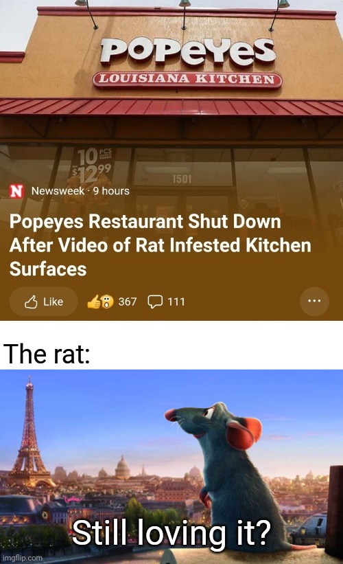 Popeyes restaurant | The rat:; Still loving it? | image tagged in ratatouille,reposts,repost,popeyes,memes,rats | made w/ Imgflip meme maker