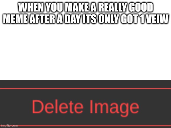 Blank White Template | WHEN YOU MAKE A REALLY GOOD MEME AFTER A DAY ITS ONLY GOT 1 VEIW | image tagged in blank white template | made w/ Imgflip meme maker