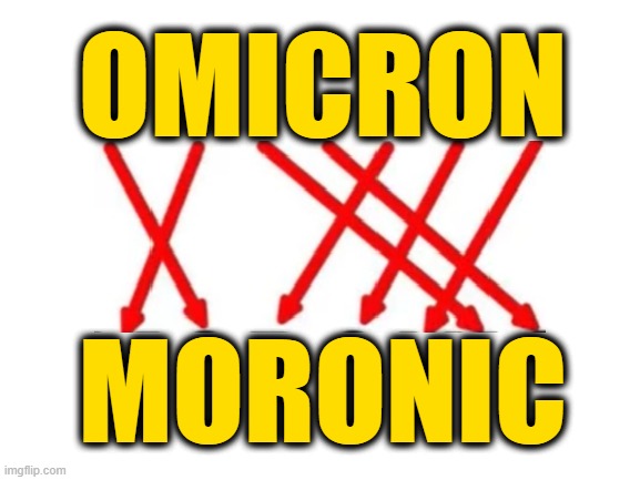 The Terror Behind It Explained | OMICRON; MORONIC | image tagged in blank white template | made w/ Imgflip meme maker