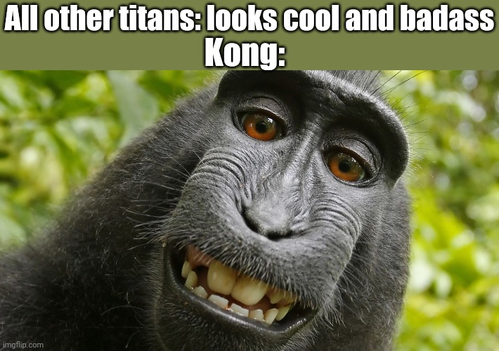 He's a monke |  Kong:; All other titans: looks cool and badass | image tagged in godzilla,kong,monke | made w/ Imgflip meme maker