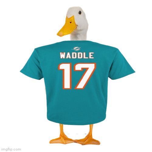 Waddle | image tagged in nfl,waddle,duck | made w/ Imgflip meme maker