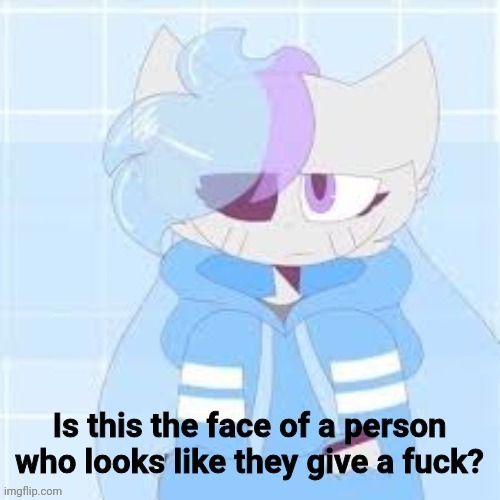 Sashley DILLIGAF | image tagged in sashley dilligaf | made w/ Imgflip meme maker
