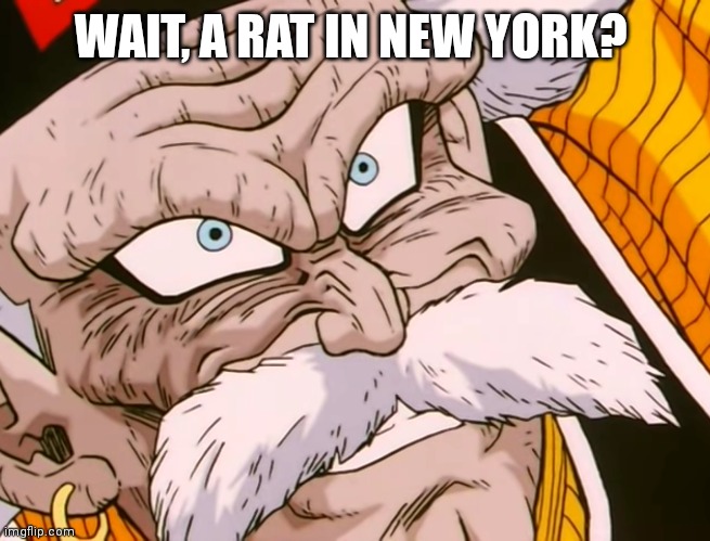 WAIT, A RAT IN NEW YORK? | made w/ Imgflip meme maker