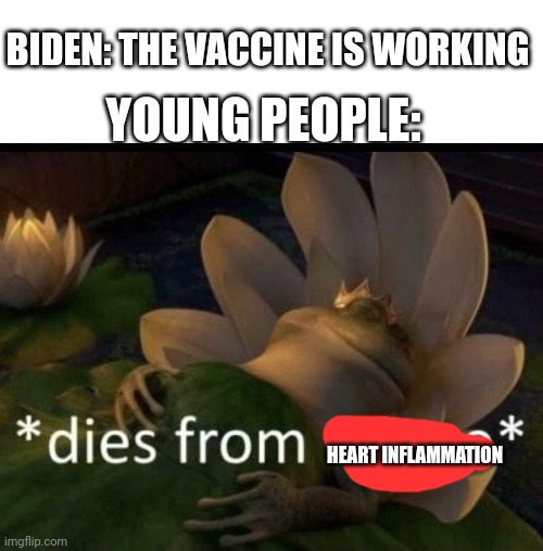 Dies from cringe | BIDEN: THE VACCINE IS WORKING; YOUNG PEOPLE:; HEART INFLAMMATION | image tagged in dies from cringe | made w/ Imgflip meme maker
