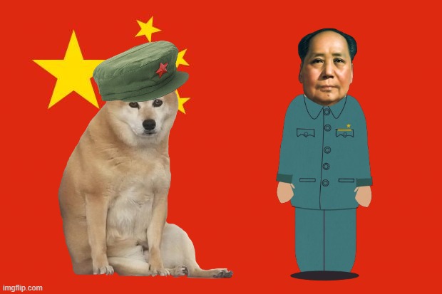Propaganda Doge | image tagged in social credit,china | made w/ Imgflip meme maker