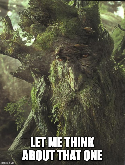 Tree Beard | LET ME THINK ABOUT THAT ONE | image tagged in tree beard | made w/ Imgflip meme maker