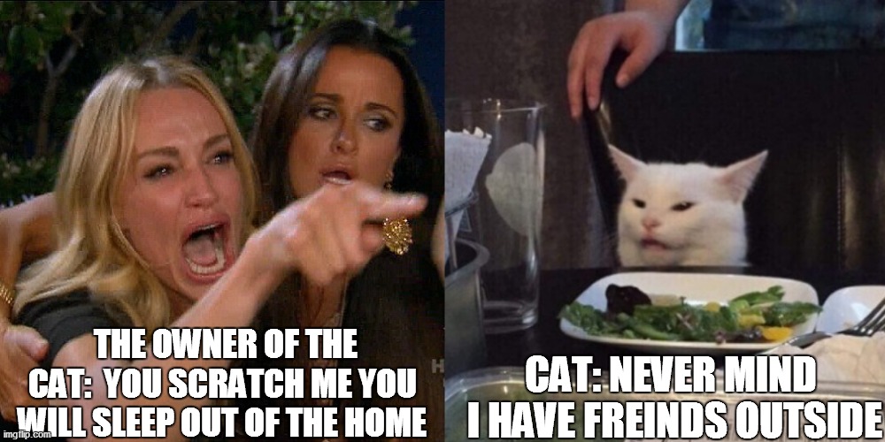 Woman yelling at cat | THE OWNER OF THE CAT:  YOU SCRATCH ME YOU WILL SLEEP OUT OF THE HOME; CAT: NEVER MIND  I HAVE FREINDS OUTSIDE | image tagged in woman yelling at cat | made w/ Imgflip meme maker