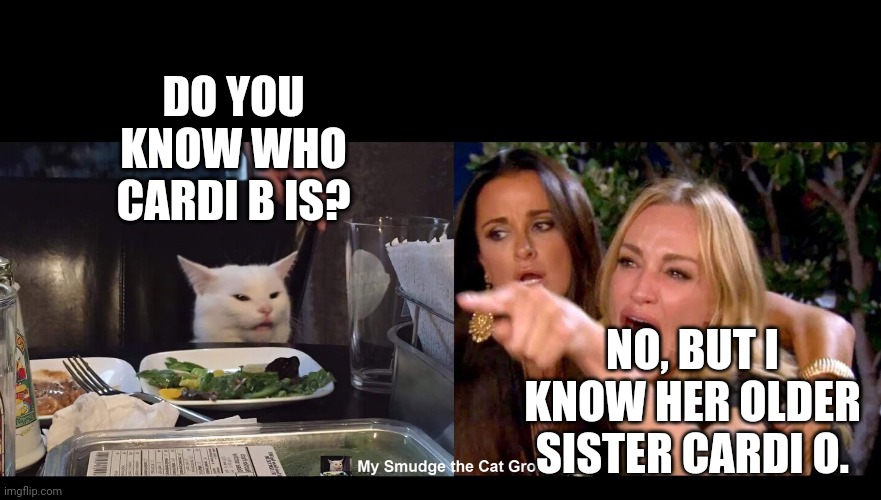 DO YOU KNOW WHO CARDI B IS? NO, BUT I KNOW HER OLDER SISTER CARDI O. | image tagged in smudge the cat | made w/ Imgflip meme maker