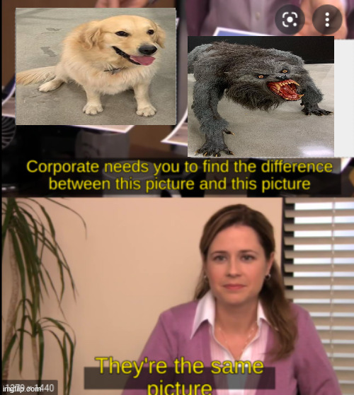 No difference between dog and werewolf | image tagged in tell me the difference | made w/ Imgflip meme maker