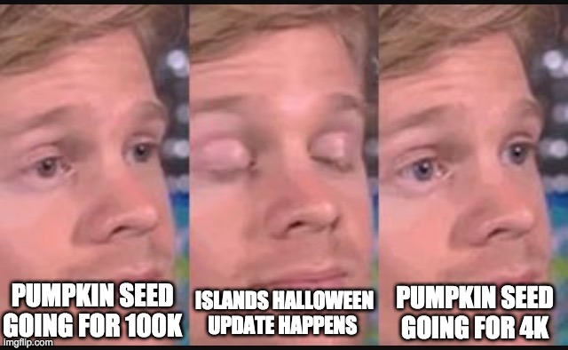 islands pumpkin seed price crash | ISLANDS HALLOWEEN UPDATE HAPPENS; PUMPKIN SEED GOING FOR 100K; PUMPKIN SEED GOING FOR 4K | image tagged in blinking guy | made w/ Imgflip meme maker