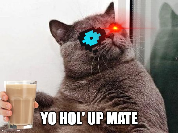 Surprised cat | YO HOL' UP MATE | image tagged in surprised cat | made w/ Imgflip meme maker