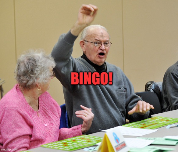 Bingo | BINGO! | image tagged in bingo | made w/ Imgflip meme maker