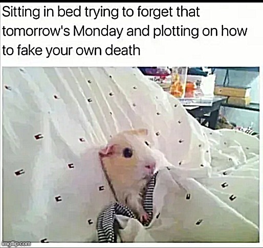 ,, | made w/ Imgflip meme maker