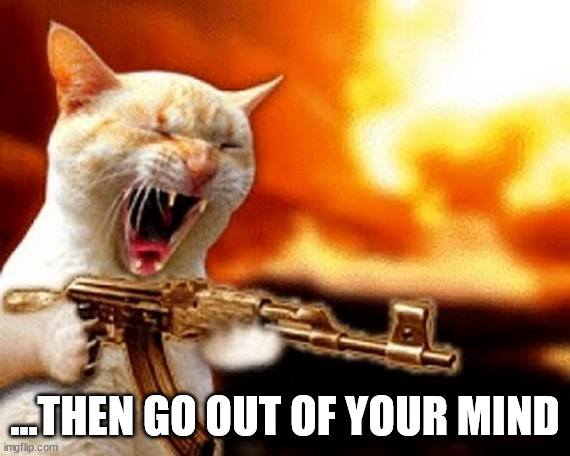 machine gun cat | ...THEN GO OUT OF YOUR MIND | image tagged in machine gun cat | made w/ Imgflip meme maker