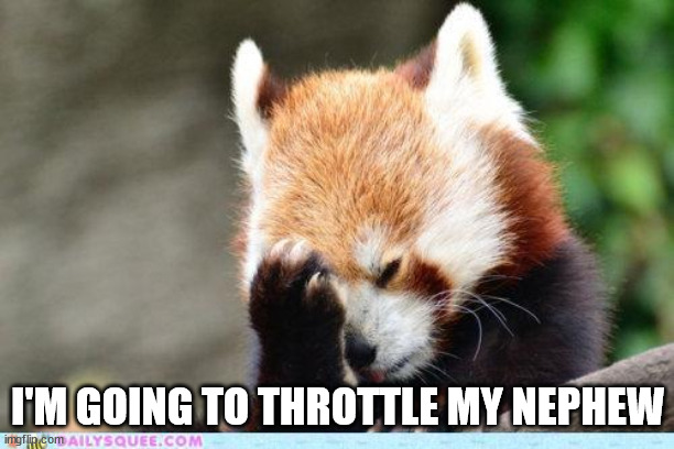 red panda facepalm | I'M GOING TO THROTTLE MY NEPHEW | image tagged in red panda facepalm | made w/ Imgflip meme maker