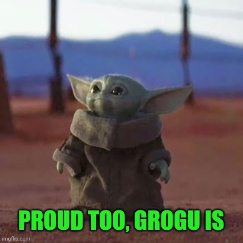 Baby Yoda | PROUD TOO, GROGU IS | image tagged in baby yoda | made w/ Imgflip meme maker