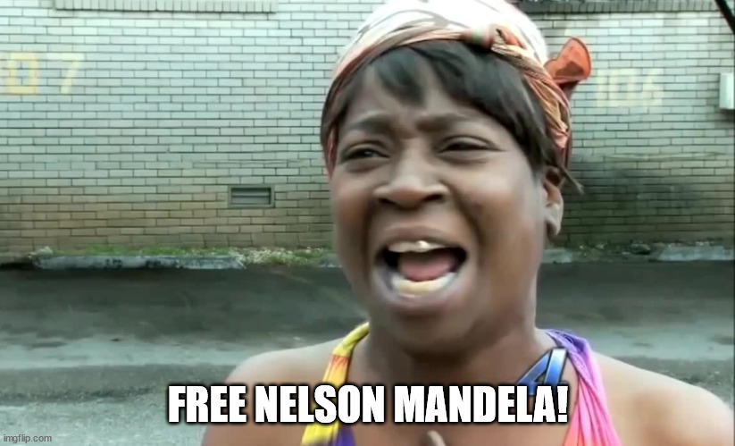 Ain’t nobody got time for that! | FREE NELSON MANDELA! | image tagged in ain t nobody got time for that | made w/ Imgflip meme maker