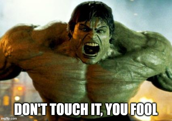 hulk | DON'T TOUCH IT, YOU FOOL | image tagged in hulk | made w/ Imgflip meme maker
