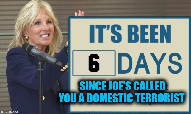 SINCE JOE'S CALLED YOU A DOMESTIC TERRORIST | made w/ Imgflip meme maker