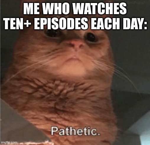 Pathetic Cat | ME WHO WATCHES TEN+ EPISODES EACH DAY: | image tagged in pathetic cat | made w/ Imgflip meme maker